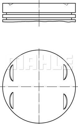 MAHLE 083 13 01 - Piston aaoparts.ro