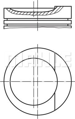 MAHLE 034 79 00 - Piston aaoparts.ro
