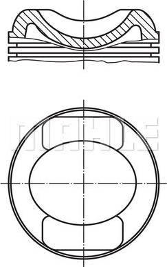 MAHLE 503 99 00 - Piston aaoparts.ro