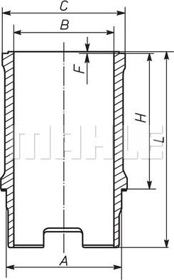 MAHLE 029 WN 16 00 - Camasa cilindru aaoparts.ro