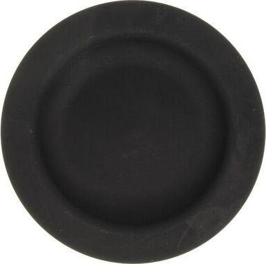 MAHLE 224-3859 - Piston aaoparts.ro