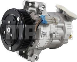 MAHLE ACP 202 - Compresor, climatizare aaoparts.ro
