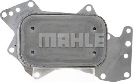 MAHLE CLC 135 000S - Radiator ulei, ulei motor aaoparts.ro