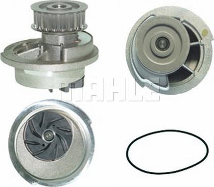 MAHLE CP 44 000P - Pompa apa aaoparts.ro