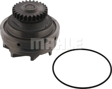 MAHLE CP 484 000S - Pompa apa aaoparts.ro