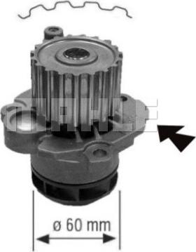 MAHLE CP 557 000S - Pompa apa aaoparts.ro