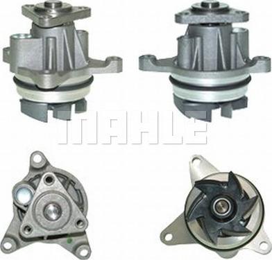 MAHLE CP 141 000P - Pompa apa aaoparts.ro