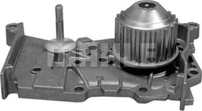 MAHLE CP 362 000P - Pompa apa aaoparts.ro