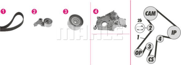 MAHLE CPK 112 000P - Set pompa apa + curea dintata aaoparts.ro