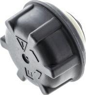 MAHLE CRB 95 000S - Buson,vas expansiune aaoparts.ro