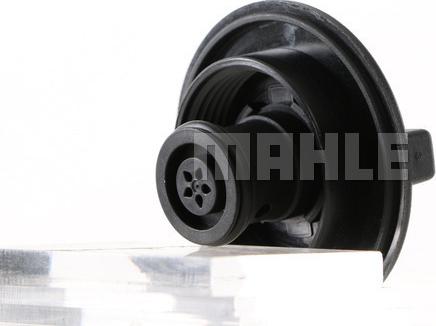 MAHLE CRB 106 000S - Buson,vas expansiune aaoparts.ro