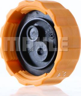 MAHLE CRB 108 000S - Buson,vas expansiune aaoparts.ro