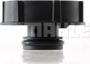 MAHLE CRB 120 000S - Buson,vas expansiune aaoparts.ro