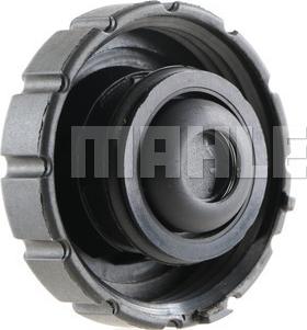 MAHLE CRB 28 000S - Buson,vas expansiune aaoparts.ro