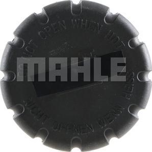 MAHLE CRB 28 000S - Buson,vas expansiune aaoparts.ro