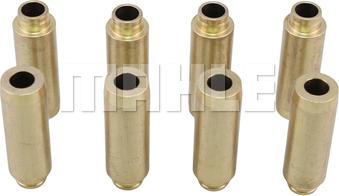 MAHLE GC0250091 - Ghid supapa aaoparts.ro