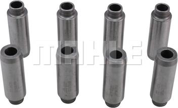 MAHLE GC0250019 - Ghid supapa aaoparts.ro