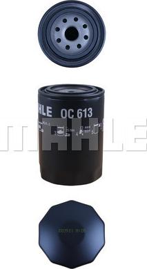 MAHLE OC 613 - Filtru ulei aaoparts.ro