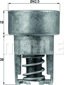 MAHLE TX 98 82 - Termostat,lichid racire aaoparts.ro