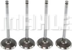 MAHLE VA0441091 - Supapa admisie aaoparts.ro