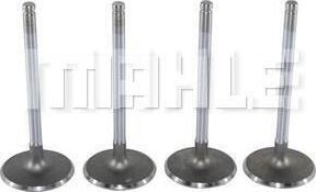 MAHLE VA0140040 - Supapa admisie aaoparts.ro