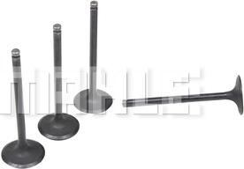 MAHLE VA0181703 - Supapa admisie aaoparts.ro