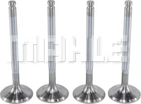 MAHLE VA0250162 - Supapa admisie aaoparts.ro