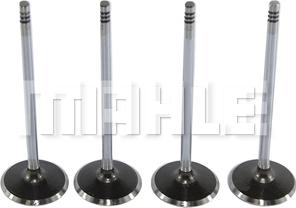 MAHLE VA0251632 - Supapa admisie aaoparts.ro