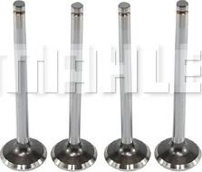 MAHLE VE0440588 - Supapa evacuare aaoparts.ro