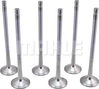 MAHLE VE0481487 - Supapa evacuare aaoparts.ro