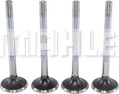 MAHLE VE0570122 - Supapa evacuare aaoparts.ro