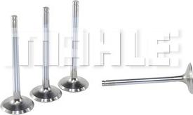 MAHLE VE0140039 - Supapa evacuare aaoparts.ro