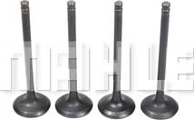 MAHLE VE0181704 - Supapa evacuare aaoparts.ro