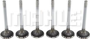 MAHLE VE0250167 - Supapa evacuare aaoparts.ro