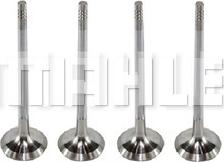 MAHLE VE0250272 - Supapa evacuare aaoparts.ro