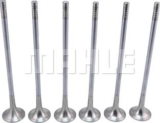 MAHLE VE0711743 - Supapa evacuare aaoparts.ro