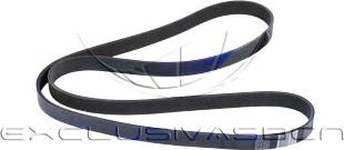 MDR MRB-571640 - Curea transmisie cu caneluri aaoparts.ro