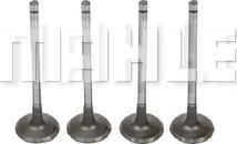 METAL LEVE VA0441701 - Supapa admisie aaoparts.ro