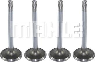 METAL LEVE VA0570123 - Supapa admisie aaoparts.ro
