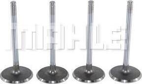 METAL LEVE VA0140041 - Supapa admisie aaoparts.ro
