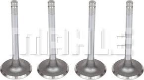 METAL LEVE VA0140084 - Supapa admisie aaoparts.ro
