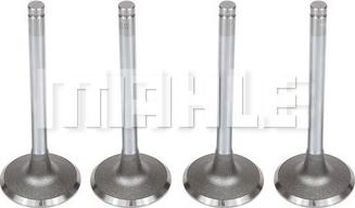 METAL LEVE VA0140114 - Supapa admisie aaoparts.ro