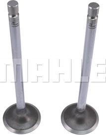 METAL LEVE VA0210442 - Supapa admisie aaoparts.ro