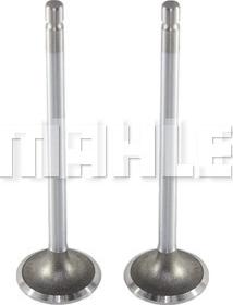 METAL LEVE VA0210151 - Supapa admisie aaoparts.ro