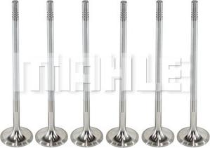 METAL LEVE VA0711398 - Supapa admisie aaoparts.ro