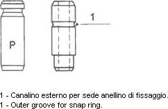 Metelli 01-2143 - Ghid supapa aaoparts.ro