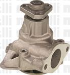 Metelli 24-0168 - Pompa apa aaoparts.ro