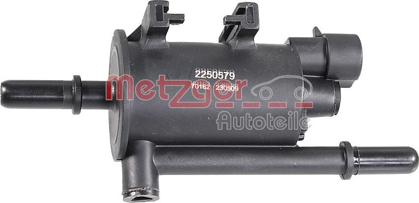 Metzger 2250579 - Supapa suprapresiune, rezervor combustibil aaoparts.ro