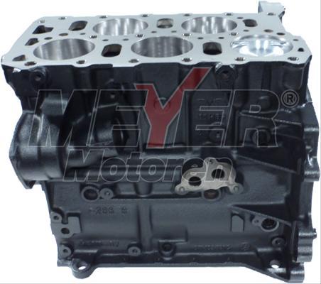 Meyer 010991290 - Motor,excluzand accesoriile aaoparts.ro