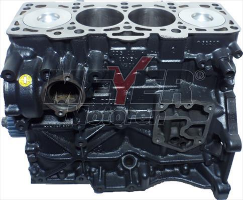 Meyer 010998240 - Motor,excluzand accesoriile aaoparts.ro